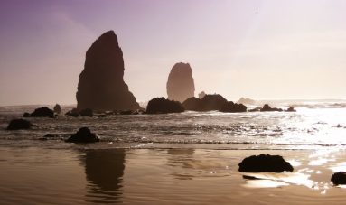 Blog2
